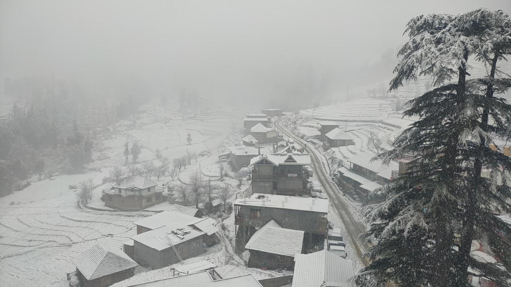 Hotel Cozy Haven Mandi Dış mekan fotoğraf