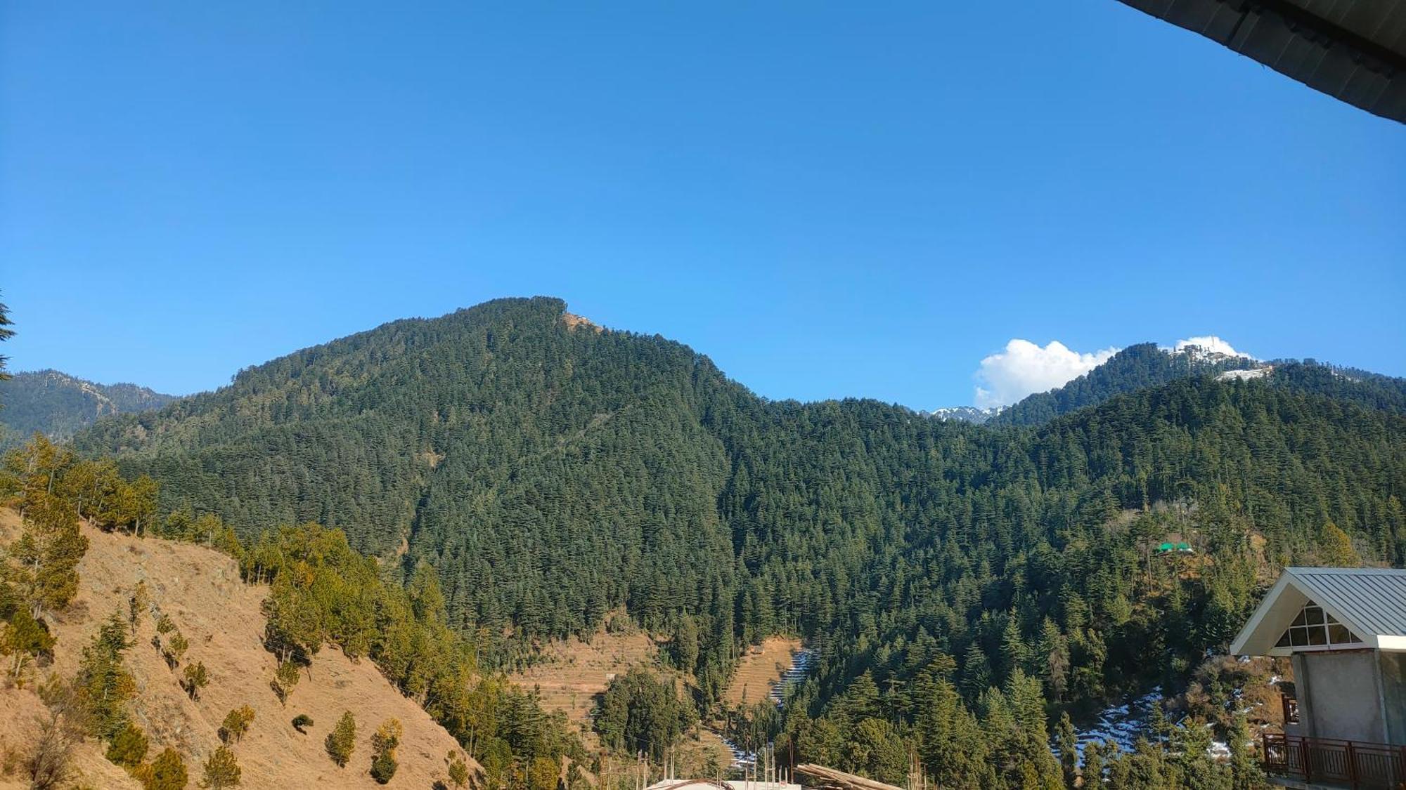 Hotel Cozy Haven Mandi Dış mekan fotoğraf